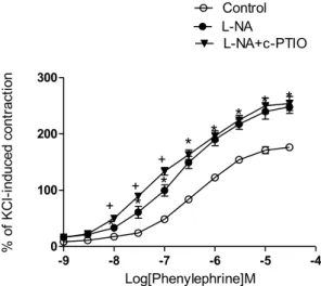 Fig. 4. The eﬀects of L-NAME (300 μM) and L-NAME (300 μM) + c-PTIO (300 μM) on the contractions induced by phenylephrine (0,001–30 μM) in the isolated rat mesenteric arteries