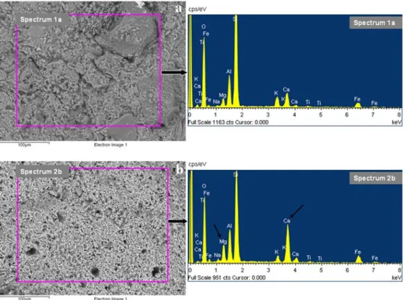 Fig. 8. Representative BSE images and EDS spectra of the samples of (a) K2 and (b) K9.