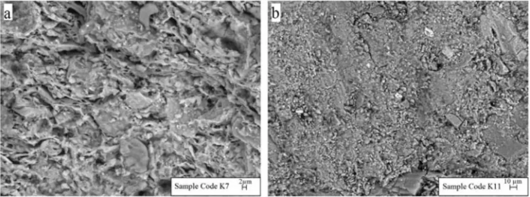 Fig. 10. Representative BSE images of the samples of (a) K7 and (b) K11.