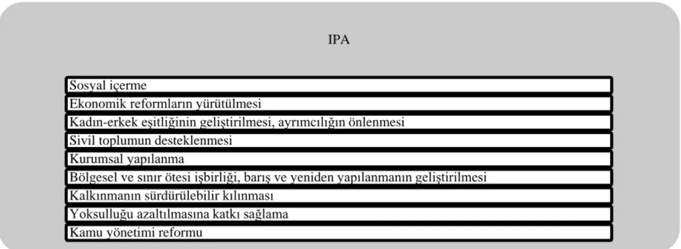 Şekil 1: IPA'nın Destek Alanları 