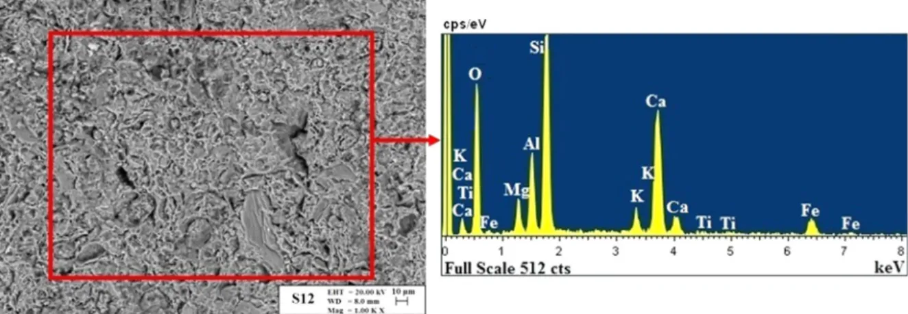 Fig. 12. Representative BSE image and EDS spectrum of the sample of S12.