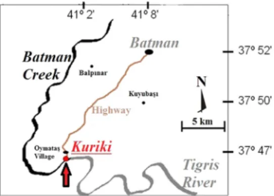 Fig. 1. Representative image of the location of Kuriki.