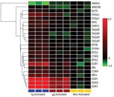 Figure  1. Heat  map  of  17  significant  genes.  Courtesy:  [10]. Heat map of predicted miR-21 target genes showing 