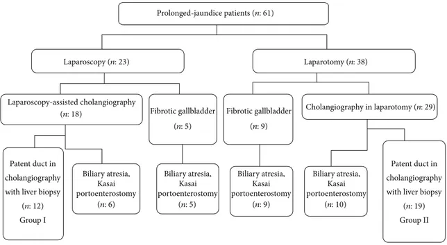 Figure 5: Data flow chart of the referred prolonged-jaundice patients.