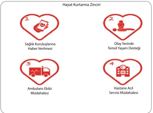 Şekil 1. Hayat kurtarma zinciri