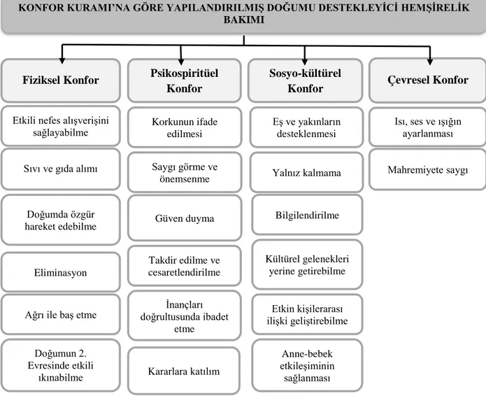 Şekil  1.  Doğumda  Verilen  Destekleyici  Bakım  Gereksinimlerinin  Kolcaba’nın  Konfor  Kuramı’na  Göre  Dağılımı 