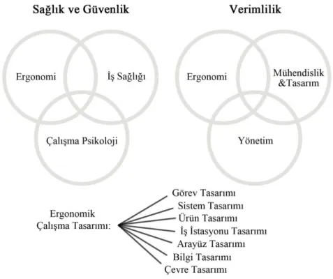 Şekil 4: Ergonominin Rolü (Pheasant, 1991 s:7). 