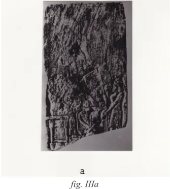 fig. IIIa