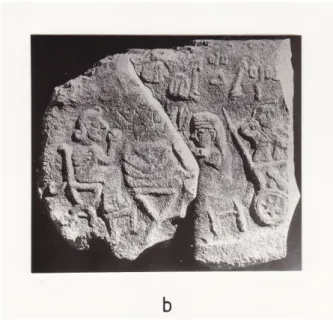 fig. IIIb
