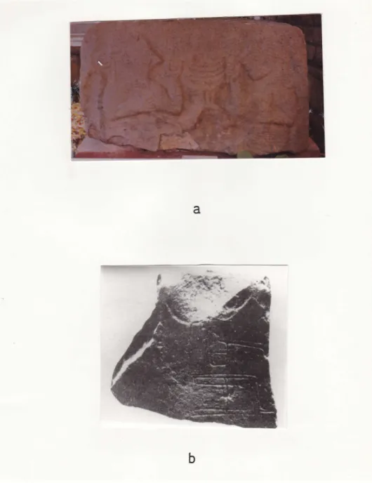 Fig. XVIa-XVIb