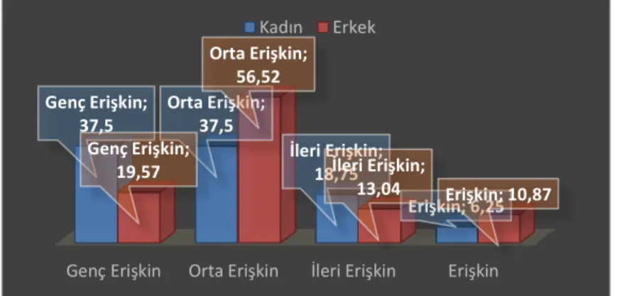 Grafik 3: Cinsiyetlerde Yaş Grubu Grafiği 