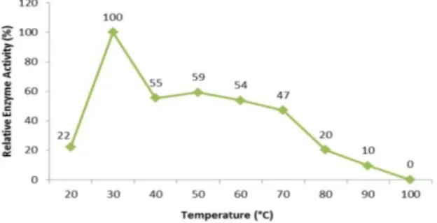 Figure 5. Optimum temperature value of tannase enzyme activity produced from Bacillus coagulans 