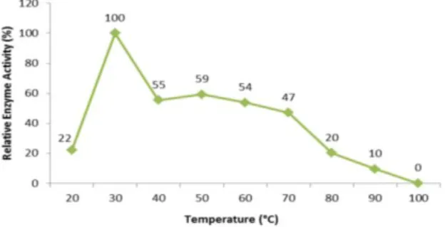 Figure 5. Optimum temperature value of tannase enzyme activity produced from Bacillus coagulans 