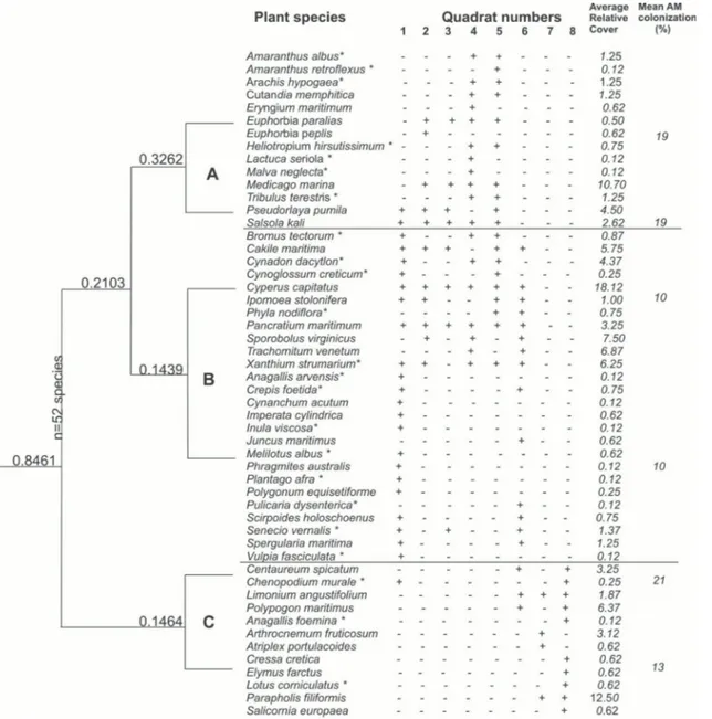 Figure 2. TWINSPAN groups and species classification of the plant communities. Occurrence and average relative cover 