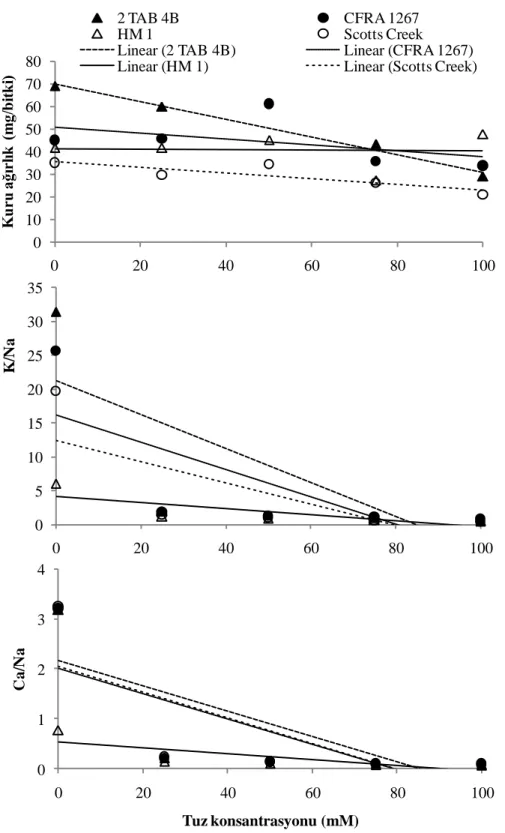 Şekil 1.  Değişik NaCl konsantrasyonlarında doku kültürüyle çoğaltılan Fragaria chiloensis  genotiplerinin kuru ağırlık ortalamaları ve bu ortalamalar için oluşturulan linear (doğrusal)  regresyon çizgileri