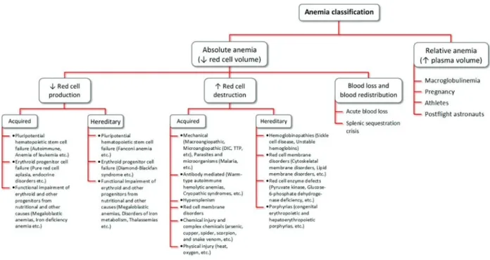 Figure 1.  Classification of anemia according to pathophysiologic characteristics (figure has been modified from Ref