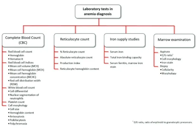 Figure 2.  Laboratory tests used in anemia diagnosis (figure has been modified from Ref