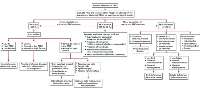 Figure 3. Flowchart to follow in the diagnosis of anemia according to MCV [4].