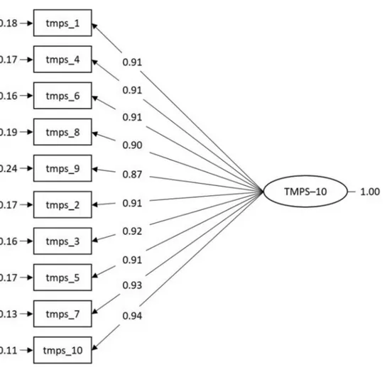 Figure 3. Single-factor structure of TMPS-10.