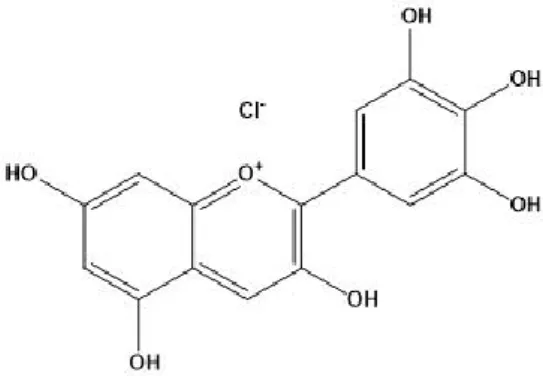 Figure 4. Molecular structure of delphinidin chloride  5.3. Chromosome Aberration (CA) Test 