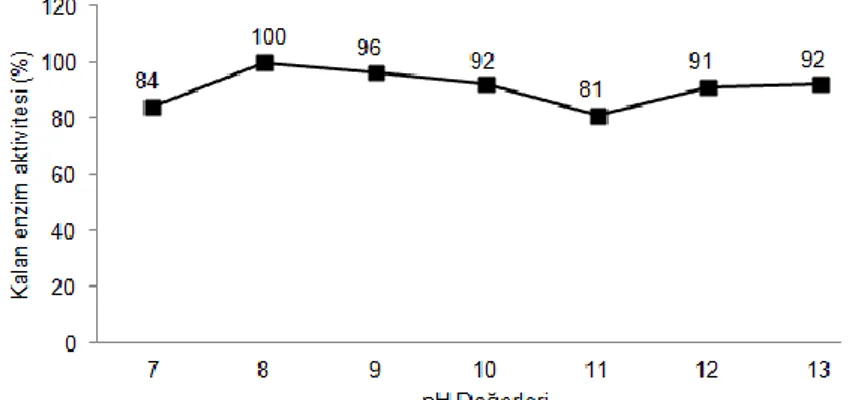 Şekil 2. Bacillus sp. SHK-7 selülaz enziminin optimum aktivite gösterdiği pH değeri  ve aralığı 