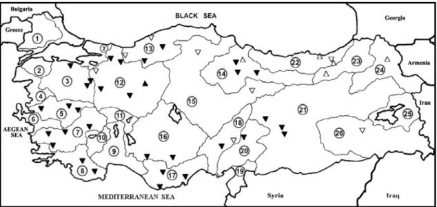 FIGURE 2 - Trends in annual instantaneous minimum stream-flow over Turkey. Upward ( ∆) and downward (∇) pointing open triangles 