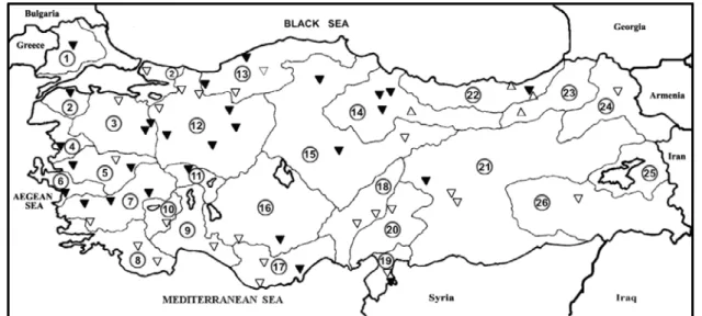 FIGURE 4 - Trends in annual instantaneous maximum stream-flow over Turkey (for further details: see Fig
