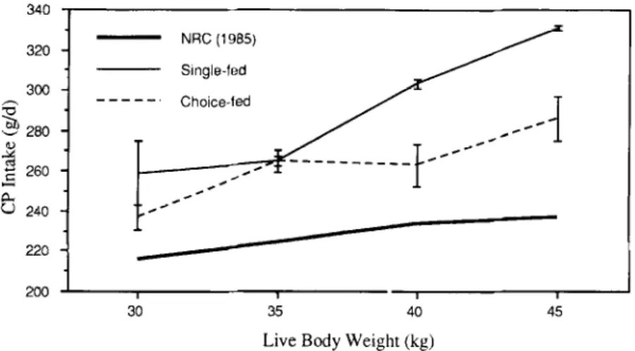 Fig.  2.  Dietary  protein  intake  of  Awassi  lambs  in  relationship  to  the  NRC  (  1985)  recommendation  during  the  study  period