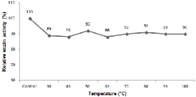 Figure  5.  Effect  of  temperature  on  the  activity  of  Bacillus  sp.  CY8  cellulase 