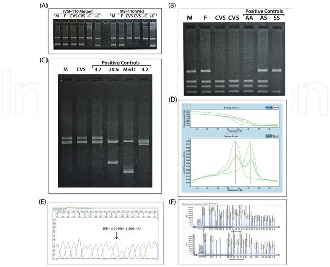 Figure 5. Applications of (A): ARMS-PCR, (B): RE-PCR for, (C): Gap-PCR, (D): HRMA and (E): sequencing analysis, (F): 