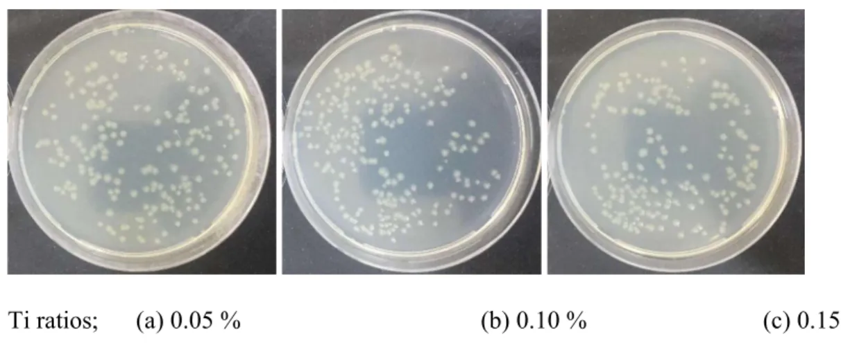 Figure 5. Petri dishes photos of knitted fabrics for S. aureus after 24 hours contact time 