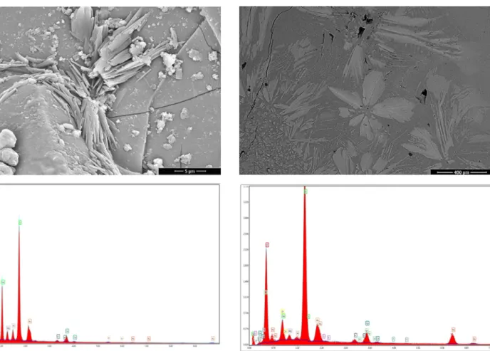 Fig. 5 Representative SEM-BSE image of G 4 glaze layer with corresponding EDS spectrum from full area (100×)