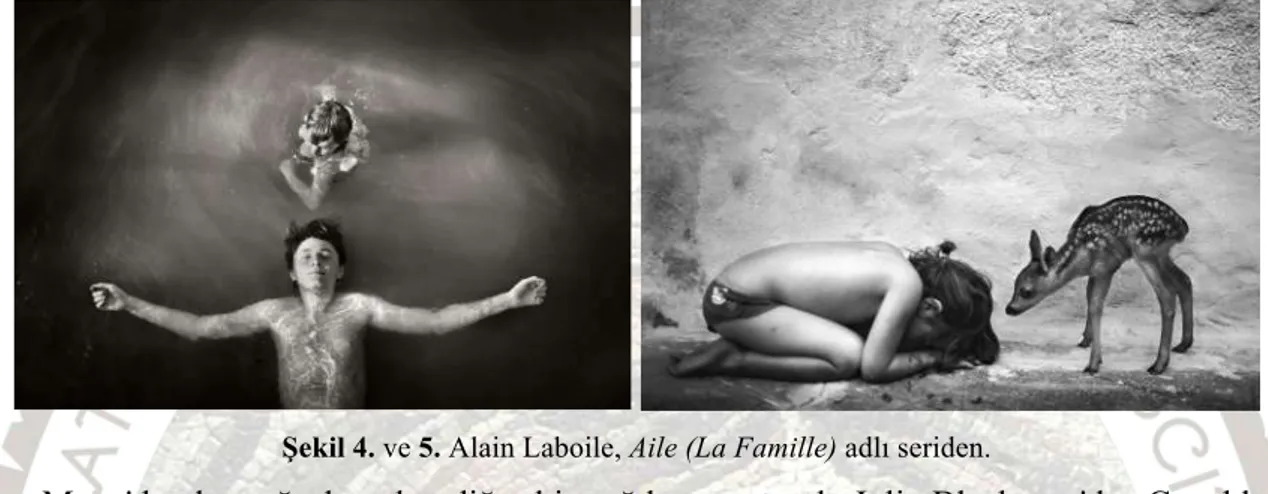 Şekil 4. ve 5. Alain Laboile, Aile (La Famille) adlı seriden.