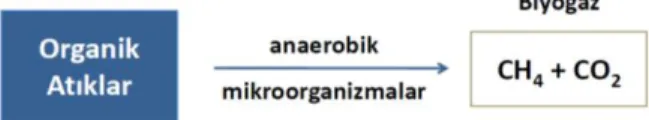 Şekil 1. Biyogazın temel bileşenleri 