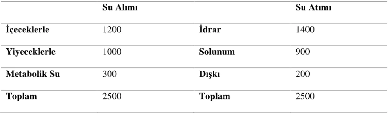 Çizelge 1. Vücudun Günlük Su Bilançosu (ml/gün) (70 kg Yetişkin Birey) 