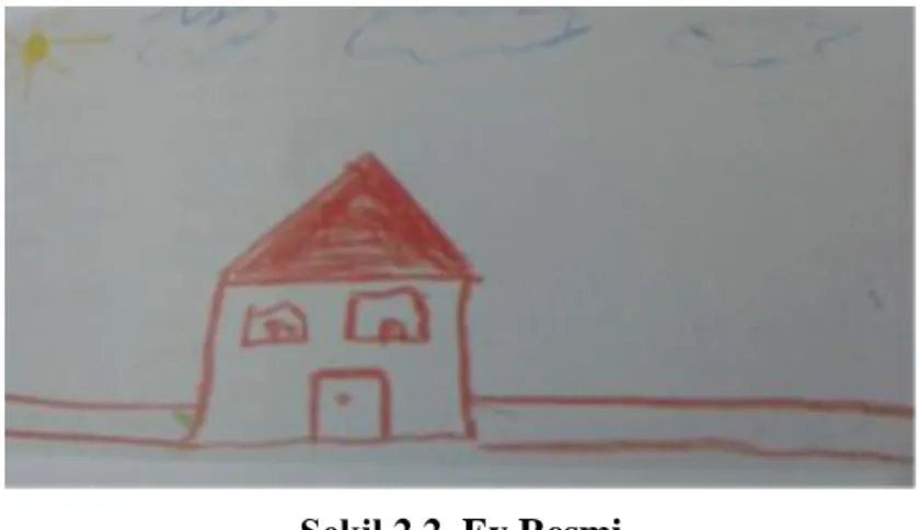 Şekil 2.2. Ev Resmi  