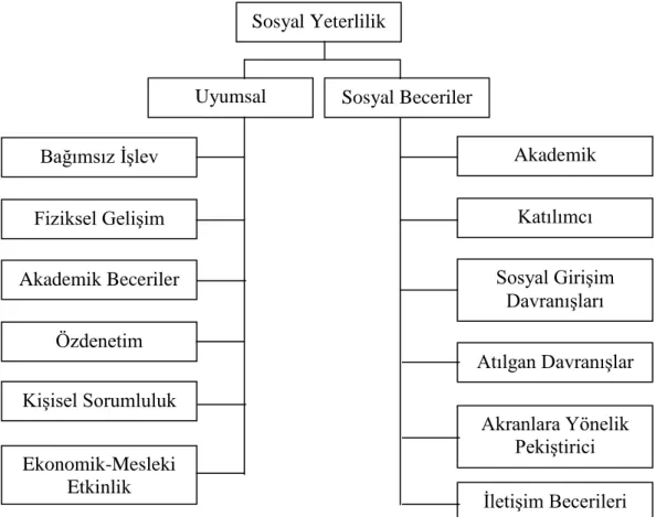 ġekil 1. Sosyal Yeterlilik Etki Alanları  