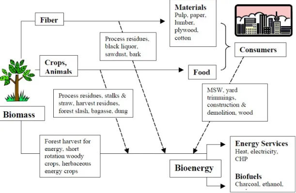 Figure 2.2:. Biomass and bioenergy flow chart   Source: R.P. Overend, NREL, 2000 