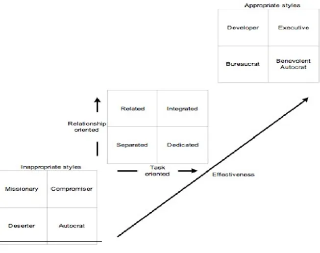 Figure 2.3: Three Dimensional Leadership 6     