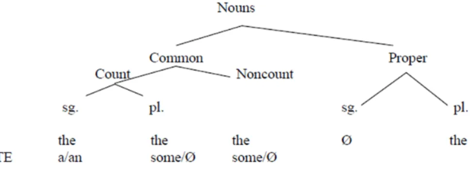 Figure 2. Noun classification for article use  