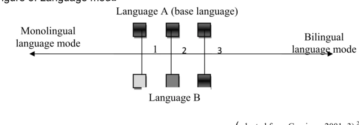 Figure 3. Language mode 
