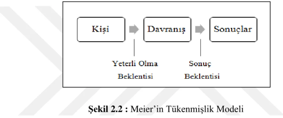 Şekil 2.2 : Meier’in Tükenmişlik Modeli 