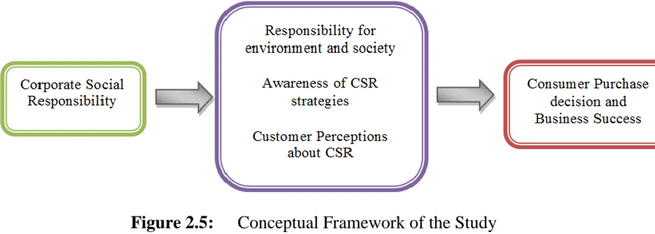 Figure 2.5:  Conceptual Framework of the Study 