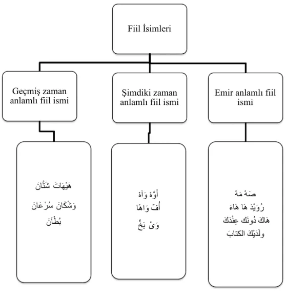 Şekil 3.1: Fiil İsimlerinin TürleriFiil İsimleri 