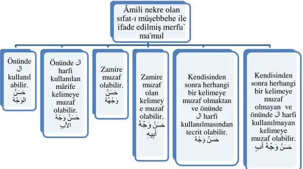 Şekil 8.1: Âmili nekre olan sıfat-ı müşebbehe ile ifade edilmiş merfu` ma’mûl 