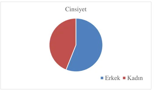 Şekil 6.4: Cinsiyet Değişkenine Yönelik Sıklık Dağılım Grafiği 