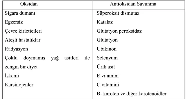 Çizelge 2.1 : Oksidan kaynakları ve antioksidan savunma sistemleri 