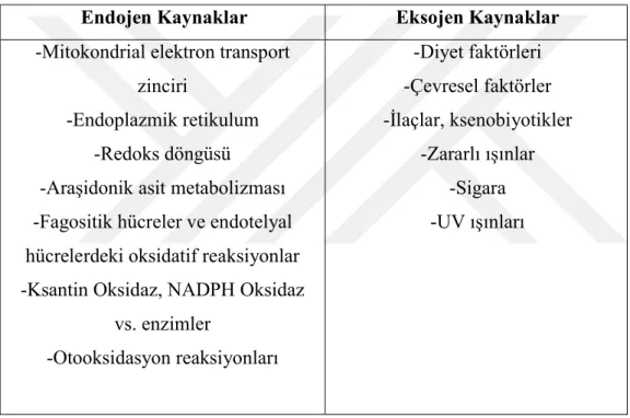 Çizelge 2.2 : Serbest radikal kaynakları 