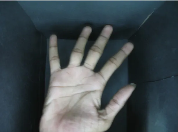 Figure 3.2: A demonstration of bigger than usual palm on far distance of sensor focus