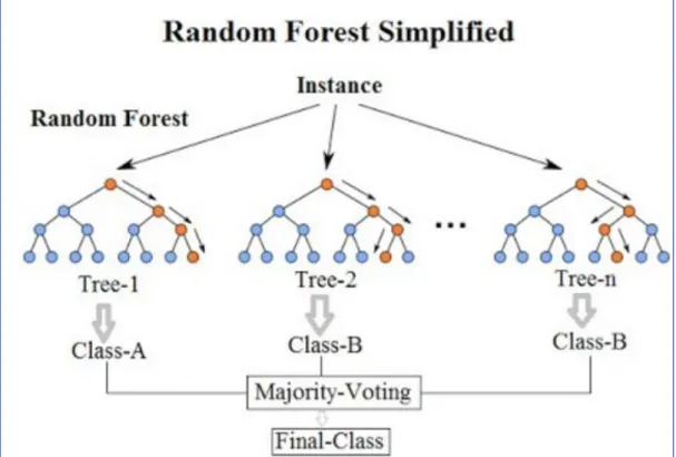 Figure 3.11: Random Forest Branches establishment process. 